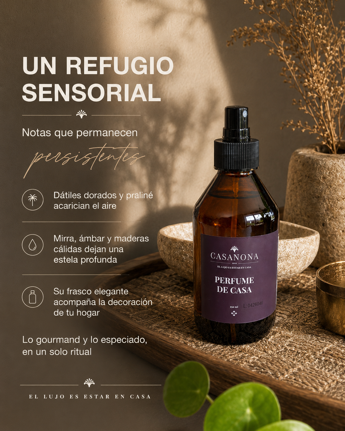 Kit Limpieza completa bolsa de compras